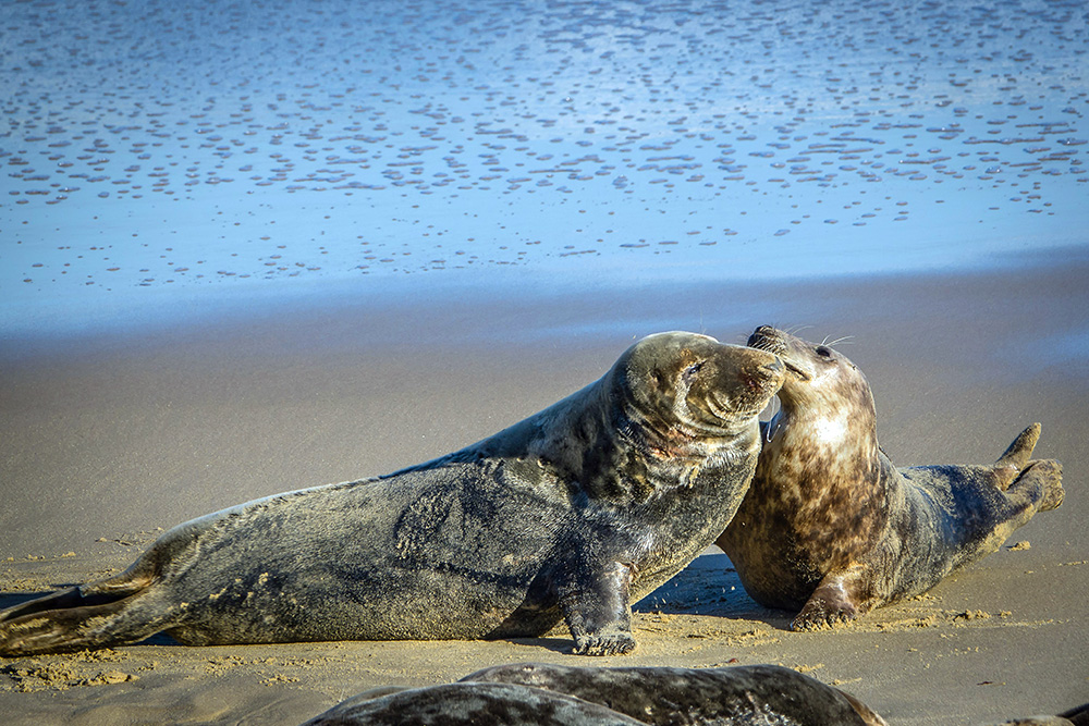 Winterton-on-Sea Beach
